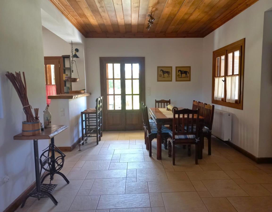 Villa Platanos Vassiliki Esterno foto