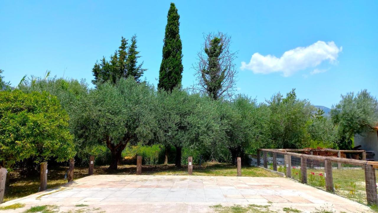 Villa Platanos Vassiliki Esterno foto