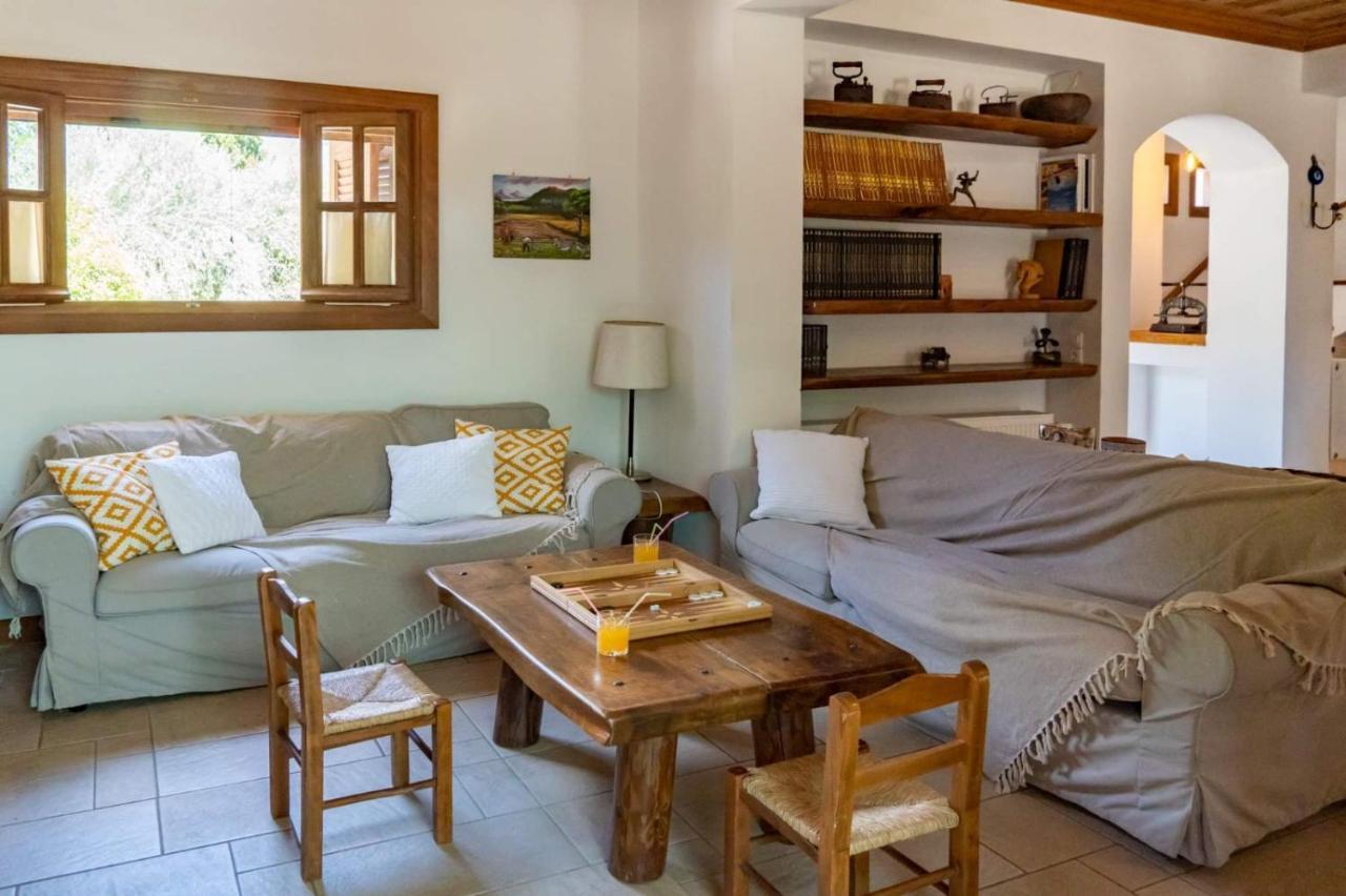 Villa Platanos Vassiliki Esterno foto